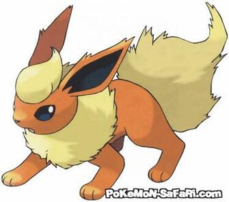 Flareon Pok Mon Photo