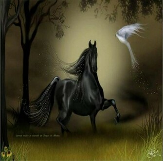 Beautiful Wallpaper Black Horse