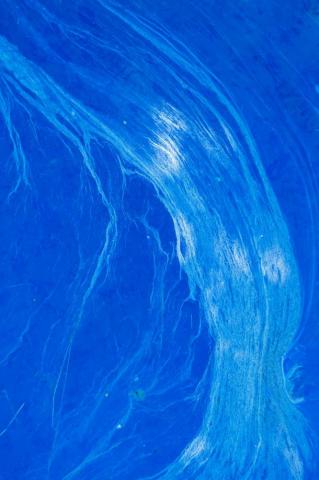 Best Blue Sea Pictures HD Image