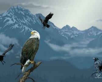 Eagle Hawk Wallpaper Animal Literature