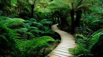 Green Nature Desktop Pc And Mac Wallpaper