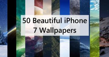 Beautiful iPhone Wallpaper