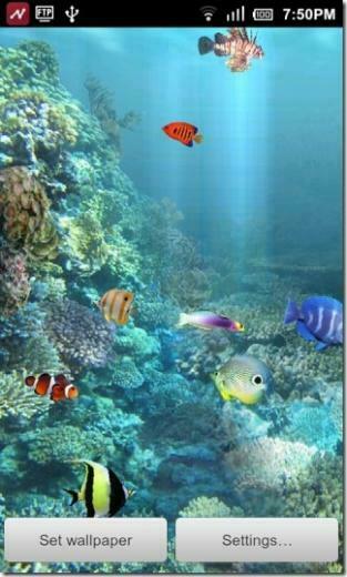 Anipet Aquarium Live Wallpaper Desktop