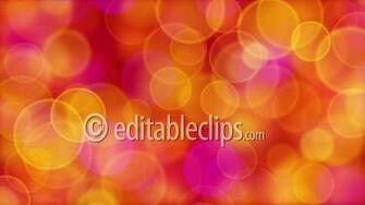 Red And Yellow Daisy Wallpaper Top HD Desktop