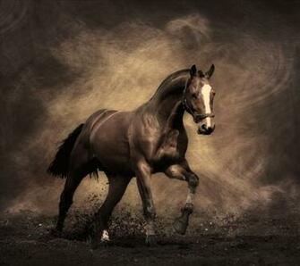Horse Live Wallpaper Screenshot