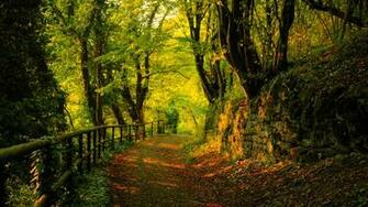Autumn Desktop Pc And Mac Wallpaper
