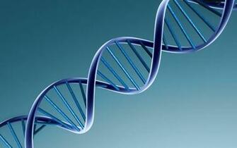 Dna Wallpaper