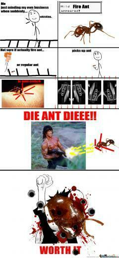 Like A Boss Meme