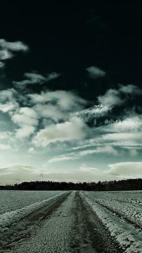 Snowy Fields Road Forest Sky Galaxy S3 Wallpaper