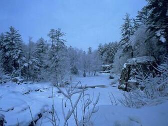 Christmas Winter Image Wallpaper High Definition