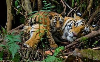 December Stunning Photography Featured Wallpaper