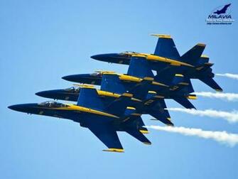 Blue Angels U S At The Royal Netherlands Air Force