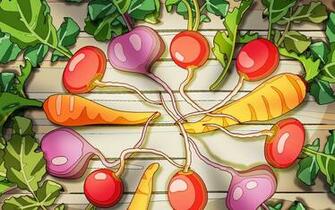 Food Desserts Vegetable And Fruits No Desktop Wallpaper