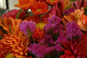 Fall Flowers Wallpaper
