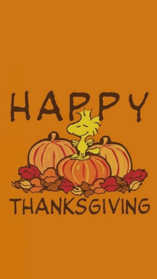 Courtney Wynn On iPhone Background Thanksgiving