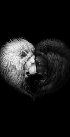 Kelsy Buturlia On Beth S Pictures Lion Wallpaper iPhone