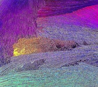 Samsung Galaxy Note HD Wallpaper Fit