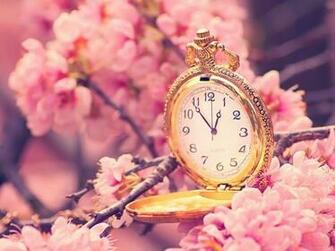 Peach Blossom And A Pocket Watch Wallpaper Platinumwall