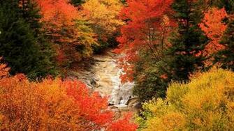 Beautiful Colored Autumn HD Wallpaper