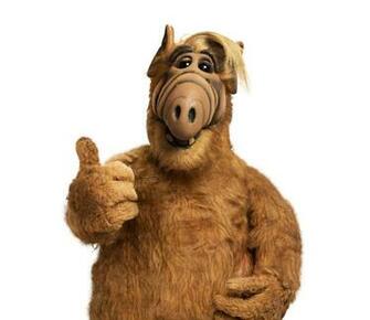 Alf Image Alf1 HD Wallpaper And Background Photos