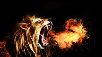 Amoled Wallpaper 4k Lion