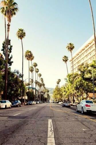 California Palm Trees Street iPhone Wallpaper