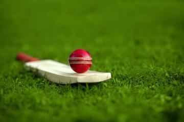 Nz W Vs Aus 3rd Odi Dream11 Cric Life