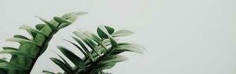 Laptop Wallpaper Best Minimal White And