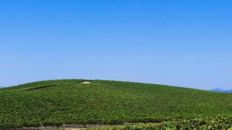 Windows Xp Bliss Man Reveals California Location Of Desktop