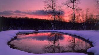 Snow Lake Tree Forest Night Winter HD Wallpaper