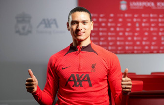 Darwin N Ez Two Thumbs Up Wallpaper