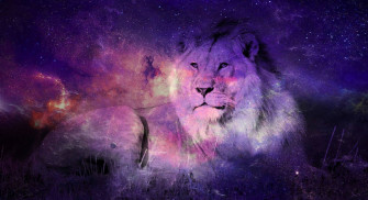 Galaxy Lion Wallpaper