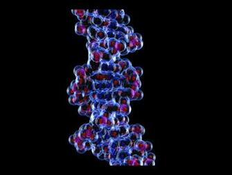 3d Dna Wallpaper Double Helix