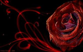 Passion Desktop Pc And Mac Wallpaper