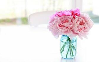 White Peonies Wallpaper