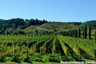 Wine Country Tour Lovers Jpg