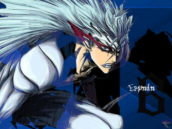 Grimmjow Jaegerjaquez Wallpaper