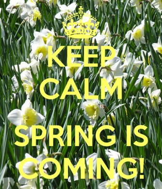 Keep Calm Spring Is Coming And Carry On Image Generator
