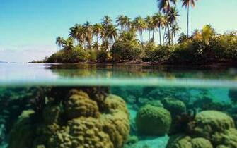 Desktop Underwater HD Wallpaper Net