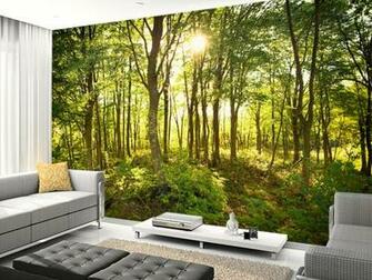 To The Desired Position Before Clicking Set Mural Size Button