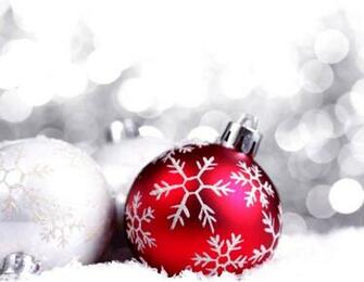 Christmas Flower Bulb Wallpaper HD Insert