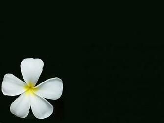 Background Wallpaper S Simple But With