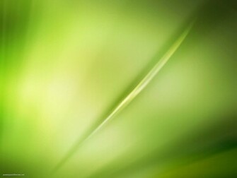 Professional Green Background For Powerpoint Themes
