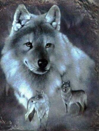 Pictures Of Wolves And Indians Pin