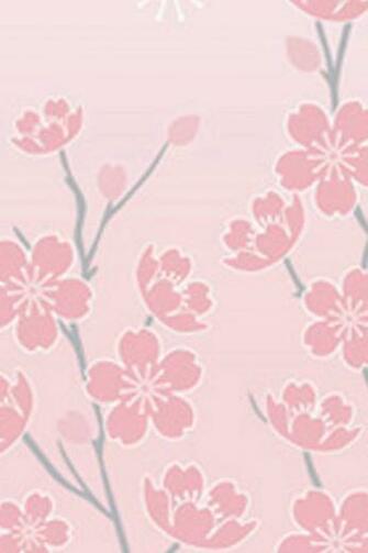 Cherry Blossom