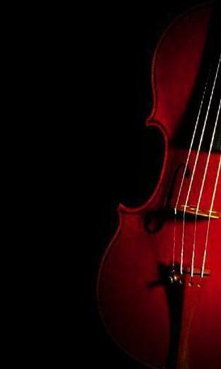 Beautiful Violin Wallpaper Screenshot