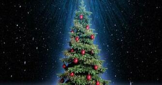 Tree HD Wallpaper For iPad Tips And News About Mobile Devices