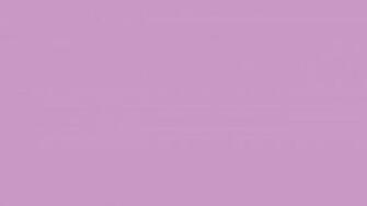 Violet Solid Color Background And The Below
