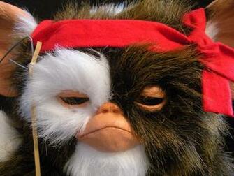 Gizmo Gremlins Wallpaper