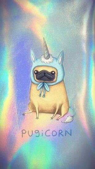 Pugicorn Pugs Are So Cute In Fondos De Pantalla